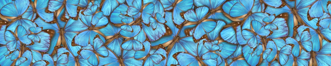 skinali 3973